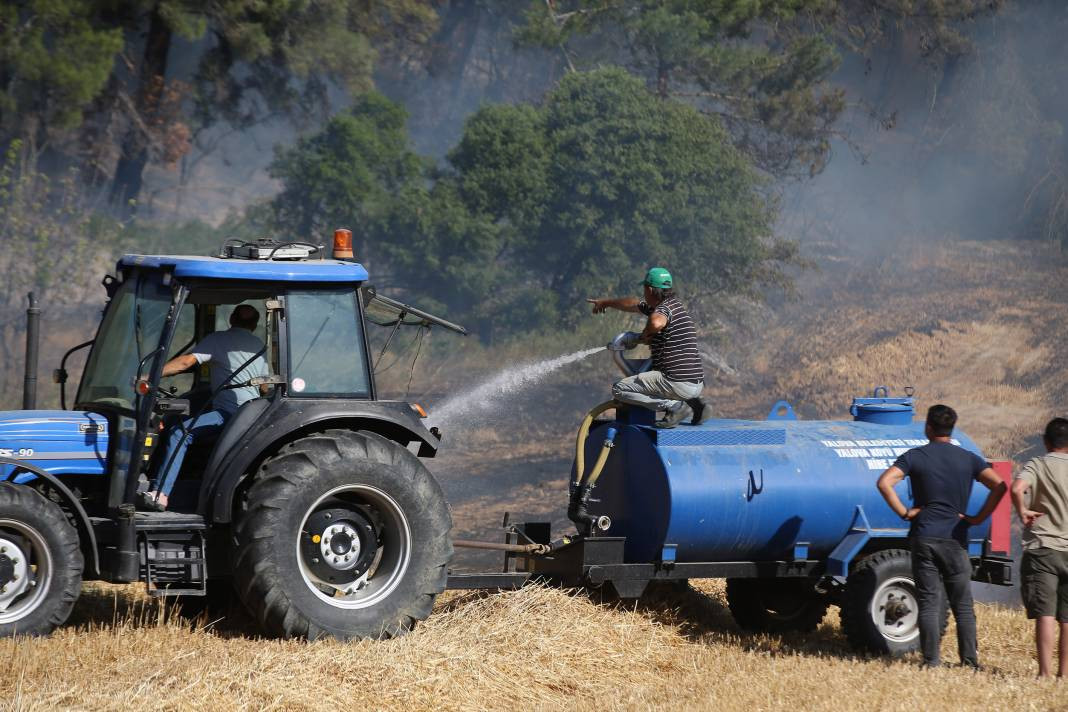 Çanakkale'deki Tarihi Alan'ın güney hattı ziyarete açıldı! Orman yangınında kapatılmıştı - Resim: 61